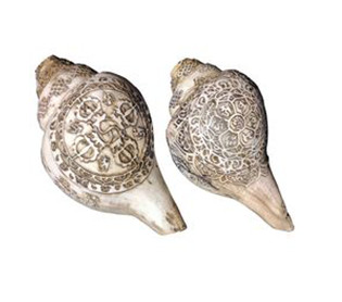 Category